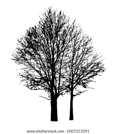 Tree Silhouette vector clip art black and white on blank plain bckground