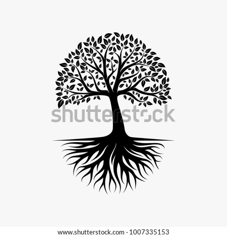 Abstract vibrant tree logo design, root vector - Tree of life logo design inspiration isolated on white background Royalty-Free Stock Photo #1007335153