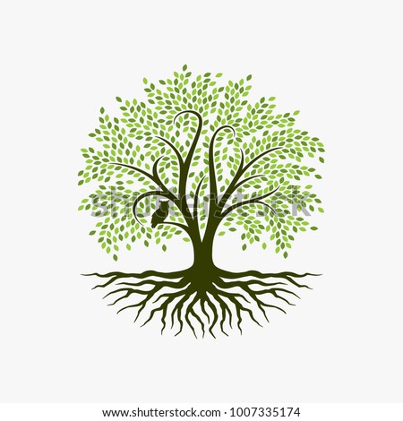 Abstract vibrant tree logo design, root vector - Tree of life logo design inspiration Royalty-Free Stock Photo #1007335174