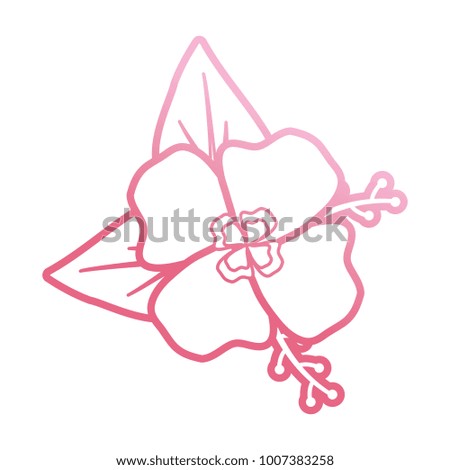 pink flower design  vector illustration
