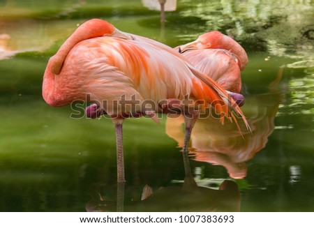 South Florida Nature Photography
