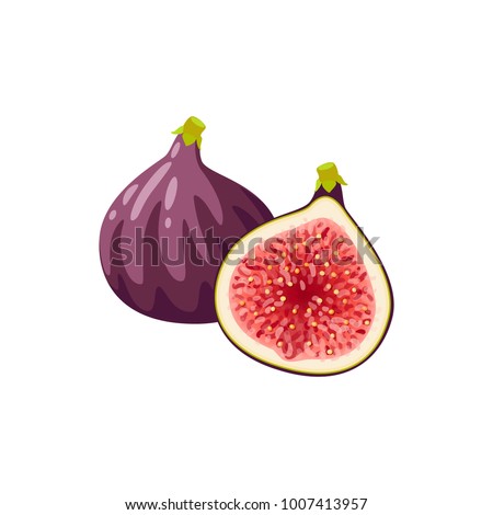 Summer tropical fruits for healthy lifestyle. Fig, purple whole fruit and half. Vector illustration cartoon flat icon isolated on white. Royalty-Free Stock Photo #1007413957