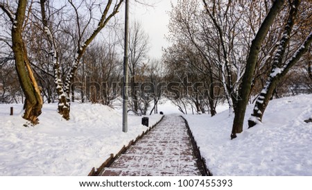 Winter season in Russia region