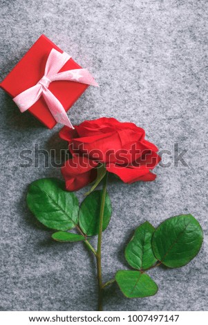 Gifting theme image with a beautiful red rose and a cute little gift box wrapped in red paper and a pink ribbon with tied bow, on a grey background.