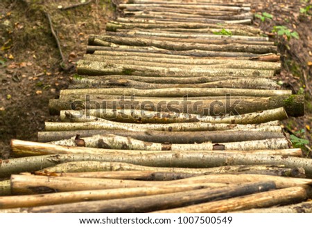 Bridge of wooden birch logs through a stream in the forest
