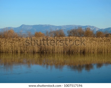 On the bank of Manavgat River in Turkey. View of the Taurus Mountains