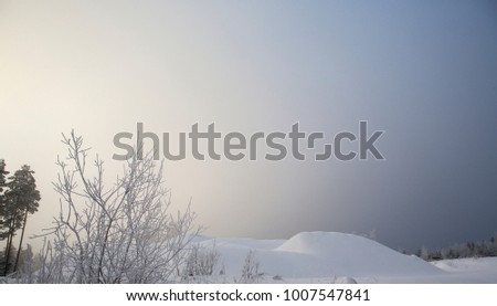 Foggy winter wonderland. Forest and small hills covered with snow.