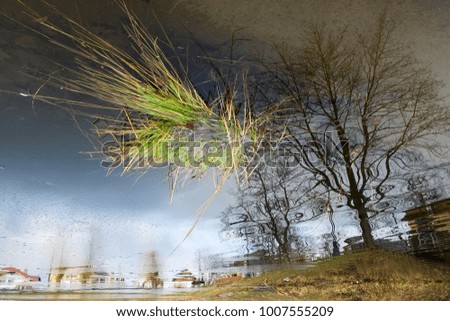 Green grass and trees reflected in water. Blurry water reflection. Looks like drawn paints
