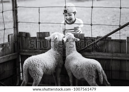 Lambs in discussion with a child separated by a wire fence. Lambs in dialog with a boy. Little boy with lamb on the farm. Conceptual picture for wallpapers, banners, posters and other design projects.