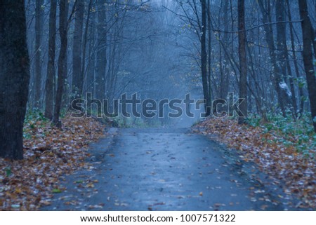The autumn forest. Gloomy forest path.
