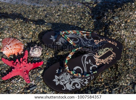 Summer vacation concept-flipflops with sea star and shells on the beach
