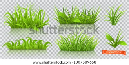 Spring grass 3d vector
