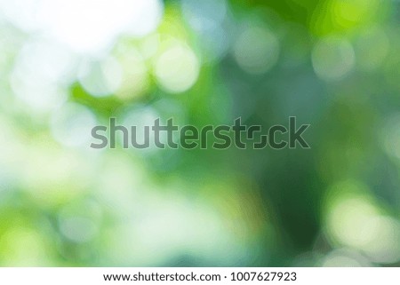 bokeh abstract green nature background selective focus