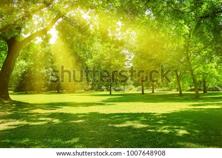 Sunrise beam in the beautiful park Royalty-Free Stock Photo #1007648908