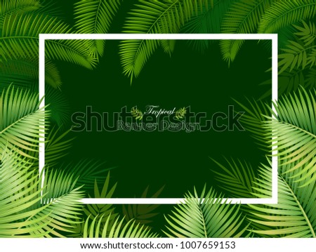Summer background with Hawaiian palm leaves, frangipani and hibiscus with set of palm leaves on green background, vector illustration.