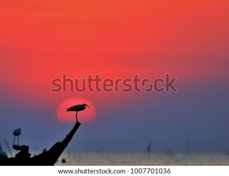 silhouette of bird on a fishing boat at sea on sunset