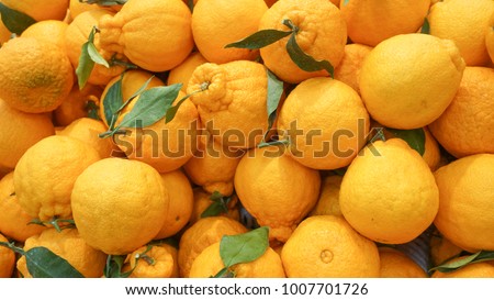 Korean style orange, hallabong (citrus spharocarpa) with one green leaf. Hallabong is a special kind of orange growing only in Korea. background Royalty-Free Stock Photo #1007701726