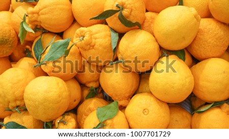 Korean style orange, hallabong (citrus spharocarpa) with one green leaf. Hallabong is a special kind of orange growing only in Korea. background Royalty-Free Stock Photo #1007701729