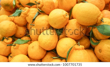 Korean style orange, hallabong (citrus spharocarpa) with one green leaf. Hallabong is a special kind of orange growing only in Korea. background Royalty-Free Stock Photo #1007701735