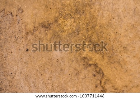 Surface of big drum leather,  drumhead