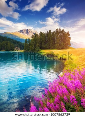 Azure pond Champfer is a unique place. Location Silvaplana village, Swiss alps, Maloja, Europe. Wonderful image of wallpaper. Scenic image of environment, hiking concept. Explore the beauty of earth.