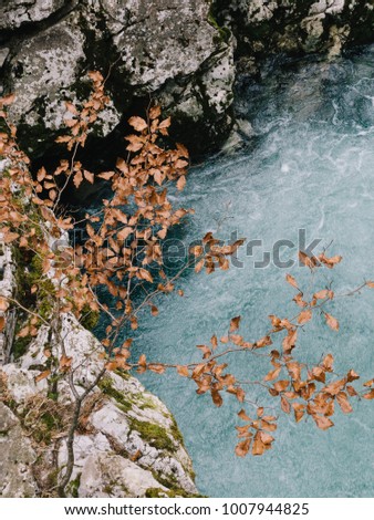 Colorful nature! Natural details. Flowing river and rocks with dried leaves.