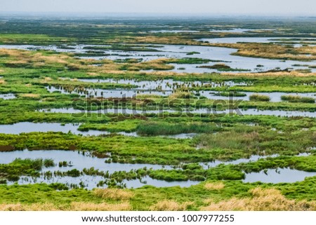 Heilongjiang Province, the natural landscape of wetlands Swallows Island