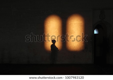 Shadow on a wall of the ancient castle in beams of a rising sun

