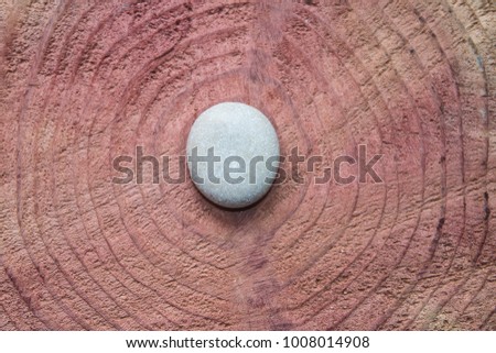 Redwood Rings Detail With Circle White Stone Centered