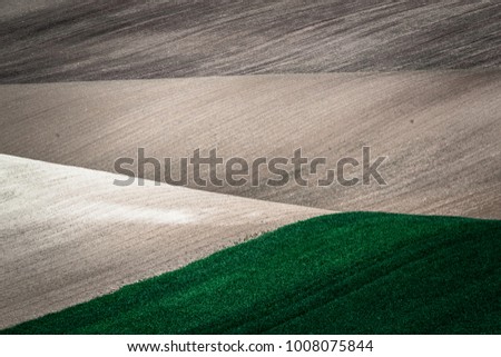 spring sown field abstract eco background. Summer hill minimal nature wallpaper. South Moravia, Czech Republic