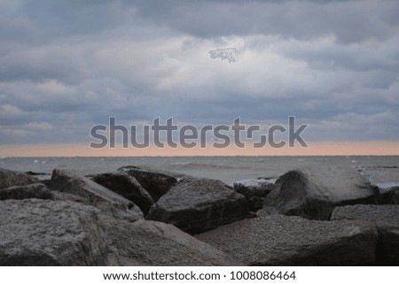 Rocks by the ocean