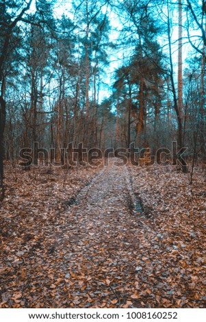 nature landscape picture of german forest