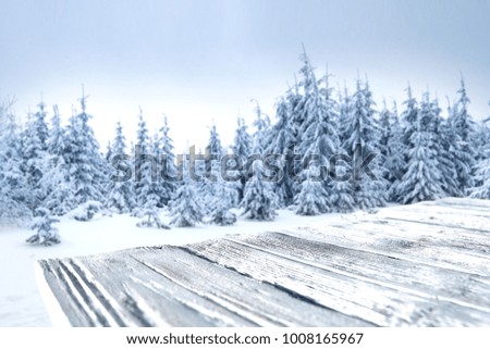 Desk of free space and winter landscape of forest 