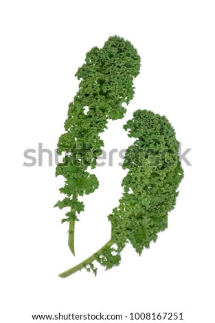 kale, green kale, leafs, Brassica oleracea var sabellica, isolated on white