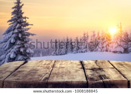 Free space for your decoration and winter landscape of forest 
