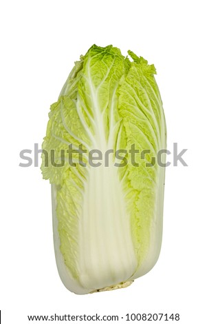 chinese cabbage, Brassica rapa ssp pekinensis, isolated on white