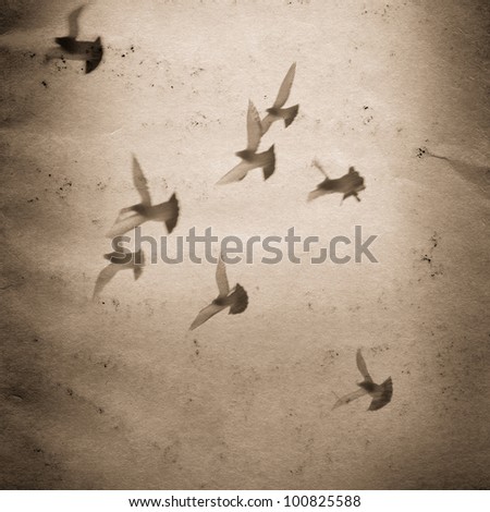 flying dove group old grunge paper texture background