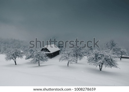 Beautiful cottage in fog with frozen trees