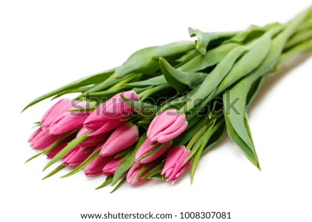 Bouquet of pink tulips flowers. Isolated on white background