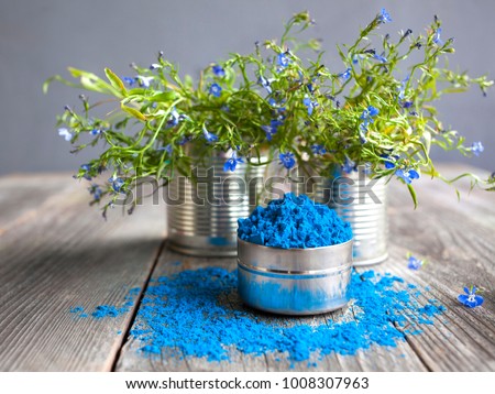 Bright blue colour for Indian holi festival. Colorful gulal (powder color) for Happy Holi with copy space. Royalty-Free Stock Photo #1008307963