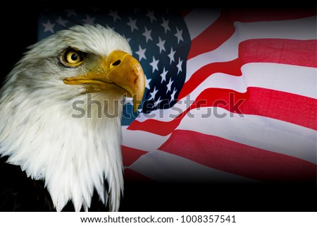 American symbol - USA flag with eagle with black background.