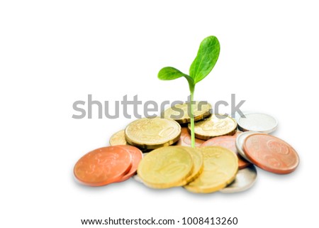 Jewish charity concept. Tzedakah, translated like charity. A photo of money, heap of euro coins and a small green sprout growing from the coins. Business finance concept. Coins isolated on white