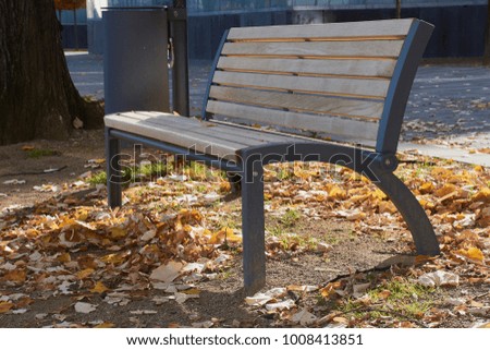 park bench in the autumn sunlight with leaves under it