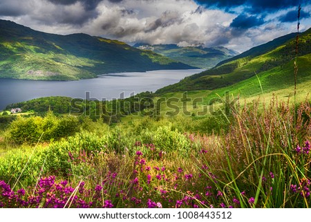 "...Where the sun shines bright on Ben Lomond."

This shot of Loch Lomond was taken from the lower slopes of Ben Lomond, while climbing up from Rowardennan. Royalty-Free Stock Photo #1008443512