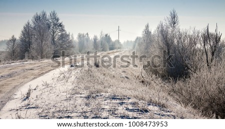 beautiful snowy winter landscape, wildlife