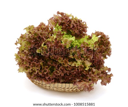 Fresh green lettuce isolated on a white background