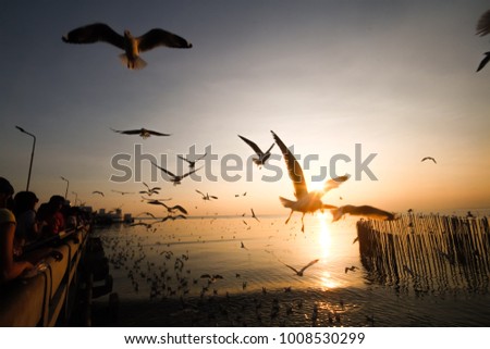 a flock of birds flying above the sea thailand with sunrise background