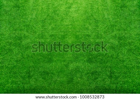Abstract background from green grass field.  Fresh natural decoration on floor in garden. Picture for add text message. Backdrop for design art work.