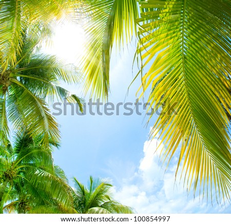 Tropical Background.