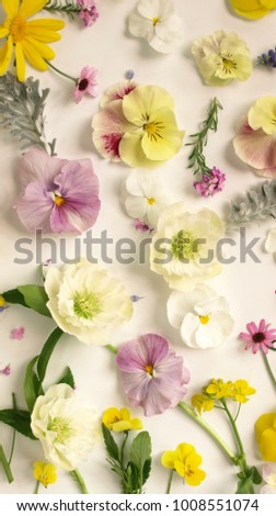 Colorful spring flowers.